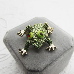 May include: A green frog brooch with a textured body, gold-colored feet, and bright green eyes. The frog has red accents and is set on a gray velvet surface. This whimsical accessory adds a touch of nature-inspired charm.
