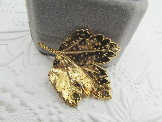 Vintage 24K Gold Dipped Real Leaf Brooch- Europea… - image 5
