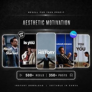 Könnte beinhalten: Ein digitales Marketing-Paket mit dem Titel Aesthetic Motivation, das fünf vertikale Tafeln mit motivierendem Text und Bildern enthält. Die Tafeln enthalten Phrasen wie Finish what you Started, is you, born to make HISTORY, outwork everyone und YOU vs YOU.