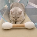 Giant Q-Tip Cat Toy, Handmade Wool Kicker Stick, Catnip Chew Toy