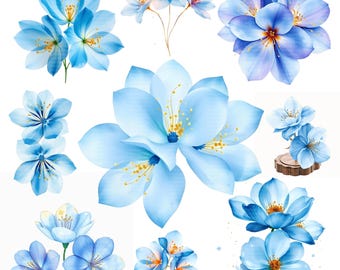 Clipart aquarel blauwe bloem – marineblauwe en stoffige blauwe png-bestanden (digitale download)