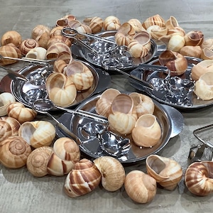 May include: An overhead shot displays a collection of escargot shells in various shades of brown and tan, some arranged on small, oval, stainless steel serving dishes. Silver tongs are also present, suggesting a culinary theme.