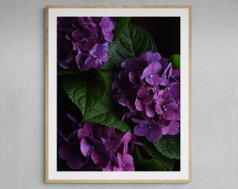 hydrangea art print, purple flower print, botanical art print, dark girly decor, floral living room, wall art flower print, above bed decor,