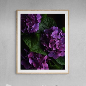 hydrangea art print, purple flower print, botanical art print, dark girly decor, floral living room, wall art flower print, above bed decor,