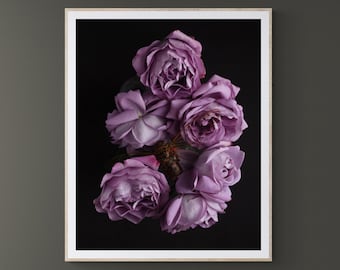 pretty purple rose , cicada art print, insect wall decor, gothic home decor, bug wall decor, romantic rose print, art print bedroom