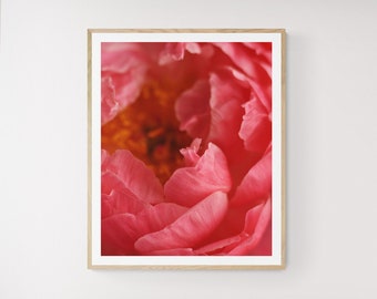 close up flower art, peony wall art, flower photography, floral art bedroom, botanical living room, girls room decor, romantic flower