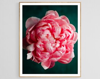 dark botanical art, peony print, floral living room art, wall decor floral, romantic floral art, dark feminine decor, peony wall art