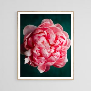 dark botanical art, peony print, floral living room art, wall decor floral, romantic floral art, dark feminine decor, peony wall art