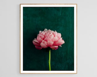 peony wall decor, dark living room art, floral wall art dark, girls room decor, minimal flower decor, botanical wall art,