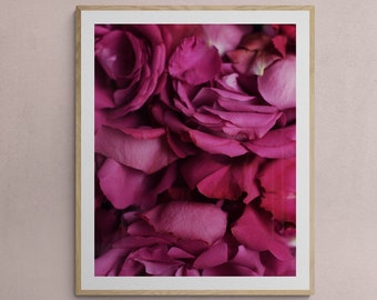 May include: A framed photograph of a close-up of pink rose petals.