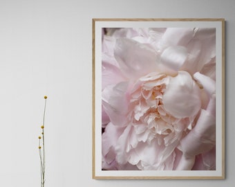 peony wall art, close up flower art, flower photography, floral art bedroom, botanical living room, girls room decor, romantic flower