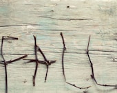 Fall photograph, woodland, twigs, teal, brown, autumn, whimsical, still life, rustic, harvest,  fine art photo, botanical print, 8x10 print