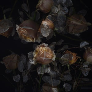 abstract rose print, dark floral art, flower photography, romantic wall art, art print bedroom, moody floral wall art, floral living room,