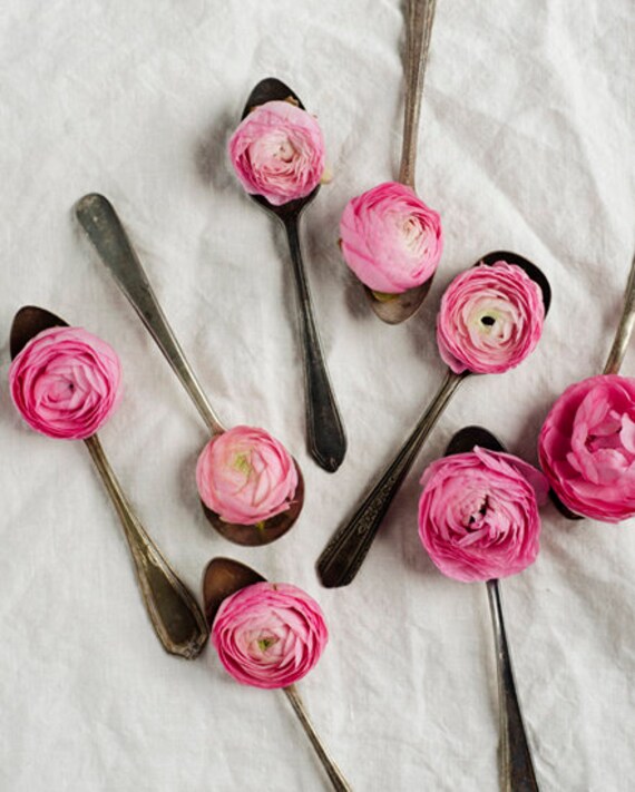 Shabby Chic Decor Botanical Print Pink Flower Decor Etsy