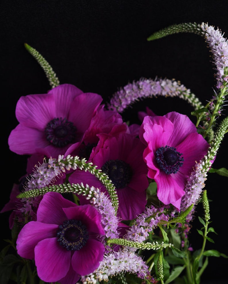 Romantic Floral Art, Dark Floral Print, Botanical Wall Art, Art for