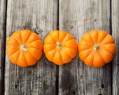 Pumpkin photograph, fall, orange, autumn, kitchen wall art, rustic, brown, harvest, fall decor, food,fine art print, 8x10 print, still life,