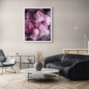 K&ouml;nnte beinhalten: Gerahmter Kunstdruck mit einer Nahaufnahme von rosa Pfingstrosen. Die Bl&uuml;ten sind in voller Bl&uuml;te, mit Schichten von rosa und magenta farbenen Bl&uuml;tenbl&auml;ttern. Der Druck h&auml;ngt an einer neutralfarbenen Wand.