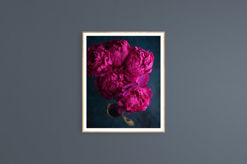 May include: A bouquet of vibrant magenta peonies arranged in a vase, captured from a high angle, against a dark teal background.