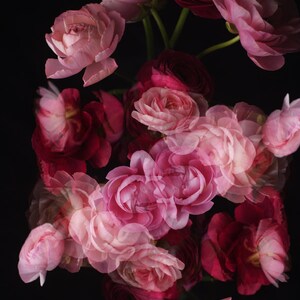 abstract floral print, art for bedroom, abstract flower photo, floral living room, dark floral art, flower photography, romantic wall art