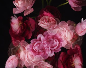 Impresión floral abstracta, arte para dormitorio, foto abstracta de flores, sala de estar floral, arte floral oscuro, fotografía de flores, arte mural romántico