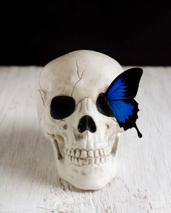 Skull Photograph Halloween Decor Gothic Home Decor Skull Wall Art Art Print Insect Spooky Art Creepy Home Decor Gothic Bedroom Art
