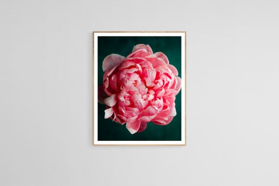 dark botanical art, peony print, floral living room art, wall decor floral, romantic floral art, dark feminine decor, peony wall art