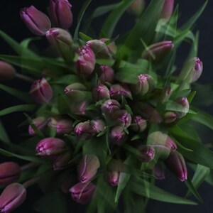 tulip art print, dark floral print, abstract floral art, purple flower print, art for bedroom, floral living room, botanical art