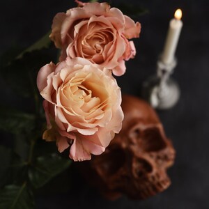 May include: Two peach-coloured roses with dark green leaves. A brown skull and a lit white candle in a silver holder are in the background, all against a dark backdrop. The scene evokes a gothic or Halloween theme.