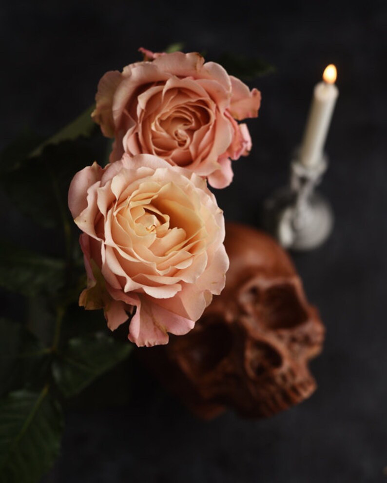 May include: Two peach-coloured roses with dark green leaves. A brown skull and a lit white candle in a silver holder are in the background, all against a dark backdrop. The scene evokes a gothic or Halloween theme.
