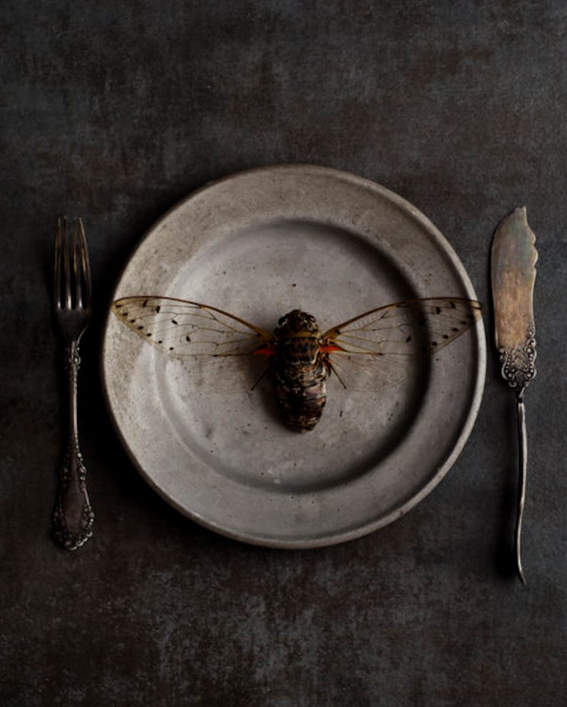 Decoracion Oscura Del Hogar Arte De La Cigarra Arte De La Etsy