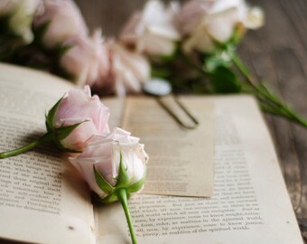 flower and book art, rustic flower art, farmhouse decor, country cottage art, romantic floral art, floral nursery art, rustic office decor