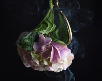Lámina de hortensias, arte floral oscuro, arte de humo y espejo, decoración sobre la cama, arte floral para dormitorio, arte fotográfico de flores, arte gótico para el hogar.