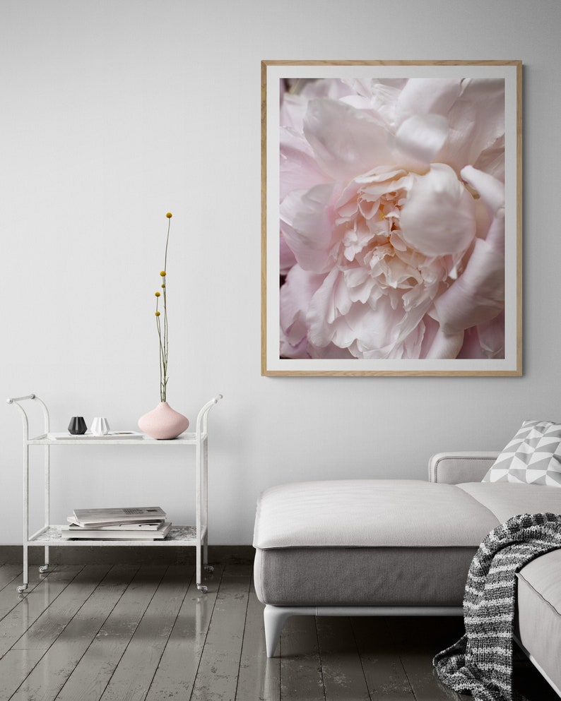 Peony Wall Art, Close up Flower Art, Flower Photography, Floral Art ...