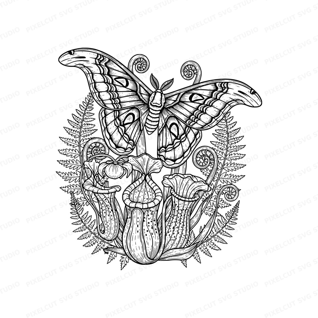 Atlas Moth Botanical Illustration SVG | Linocut Style Carnivorous ...
