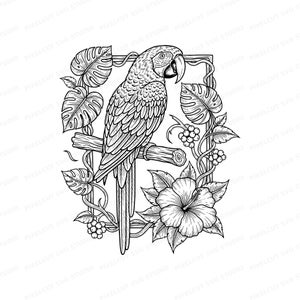 May include: Black and white illustration of a parrot perched on a branch, surrounded by tropical leaves, berries, and a hibiscus flower. The parrot is detailed with textured feathers and a curved beak, set within a decorative frame.