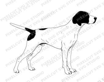 Perro de muestra de caza SVG y PNG – Ilustración realista de un perro de muestra, imágenes prediseñadas para exteriores