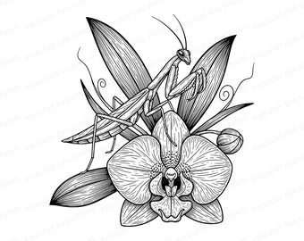 Praying Mantis Orchid SVG | Linocut Insect Botanical Clipart (Digital Download)