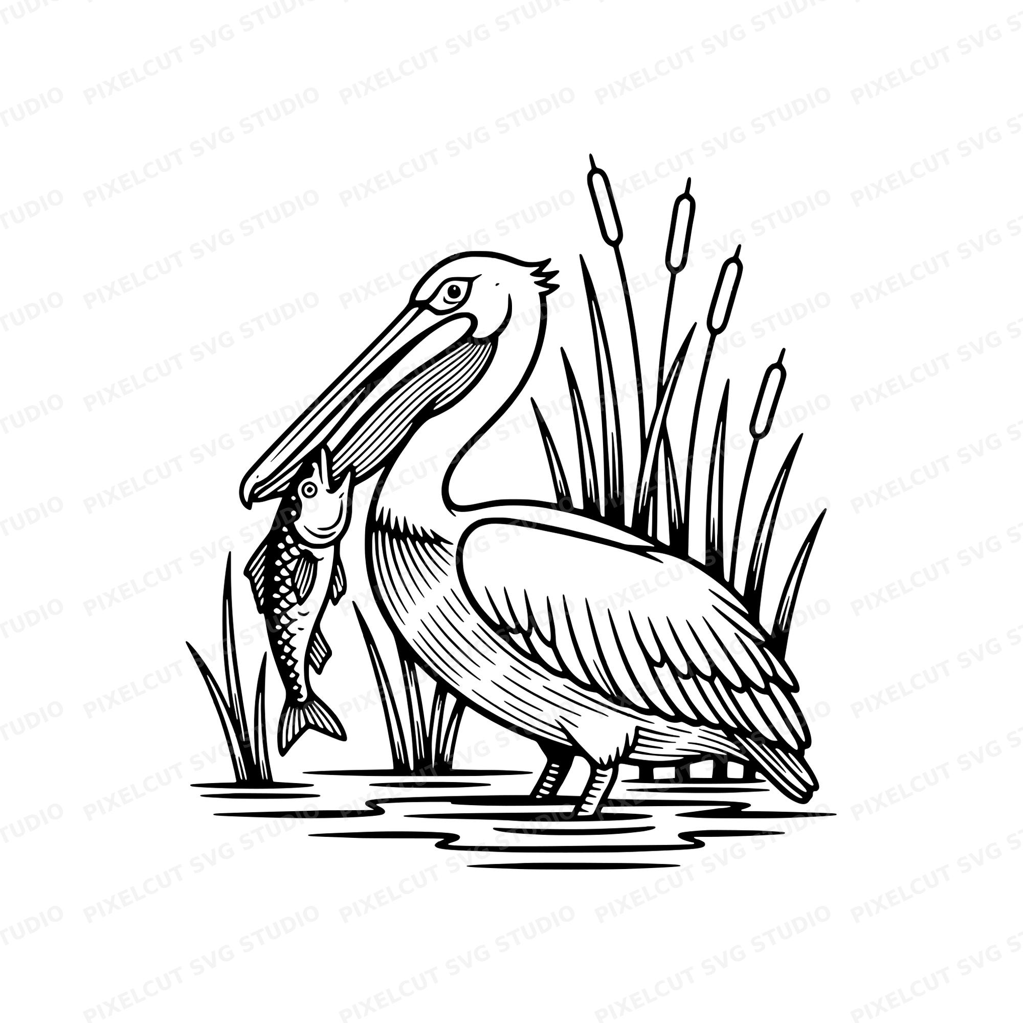 Pelican tattoos - Etsy 日本