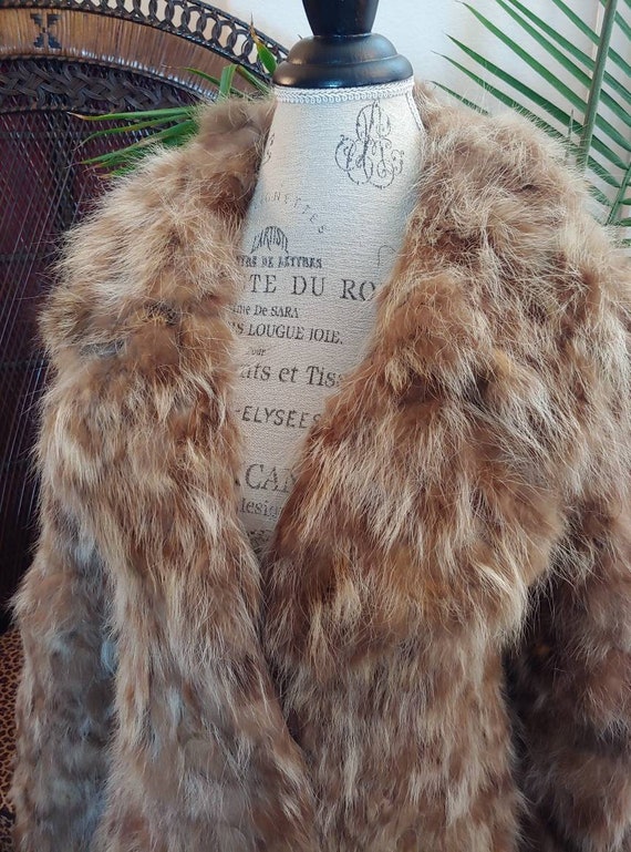 Vintage 1970s Raccoon Fur Dollybird Coat In Tan a… - image 4