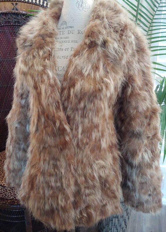 Vintage 1970s Raccoon Fur Dollybird Coat In Tan a… - image 3