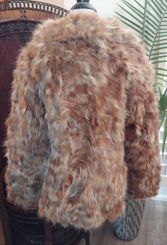 Vintage 1970s Raccoon Fur Dollybird Coat In Tan a… - image 6