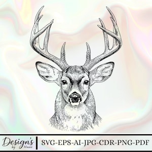 May include: A detailed black and white illustration of a deer's head with large antlers. The deer is facing forward, with its eyes looking directly at the viewer. The image includes the text "Design's by Maani" and file type options: SVG-EPS-AI-JPG-CDR-PNG-PDF.