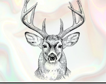Retrato de ciervo / SVG JPG PNG / Descarga de ciervo / Diseño de ciervo macho / Arte de ciervo / Sublimación / Ciervo / Impresión / Ciervo de cola blanca / Astas de ciervo