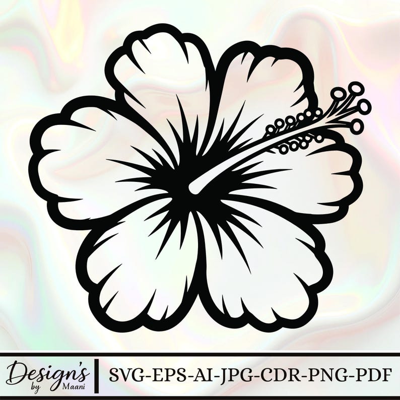 Hibiscus Flower Svg Png: Clean Outline Cut File for Cricut - Etsy