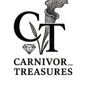 Puede incluir: Un logotipo en blanco y negro con las letras C y T, una planta carnívora punteada integrada en la T y una forma de diamante debajo de la C. El texto CARNIVOR_ TREASURES aparece en una fuente serif negrita bajo los elementos gráficos.