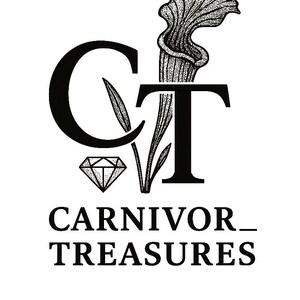 Puede incluir: Un logotipo en blanco y negro con las letras C y T, una planta carnívora punteada integrada en la T y una forma de diamante debajo de la C. El texto CARNIVOR_ TREASURES aparece en una fuente serif negrita bajo los elementos gráficos.