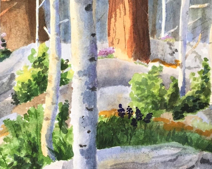 Art Print of Aspens: Watercolor Painting of Trees & Purple Wildflowers