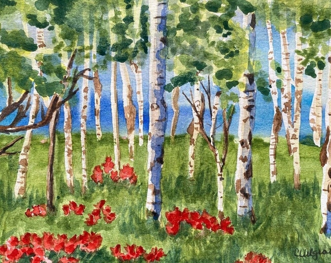Watercolor Print, Painting of An Aspen Grove in a Green Meadow of Red Indian Paintbrush Flowers