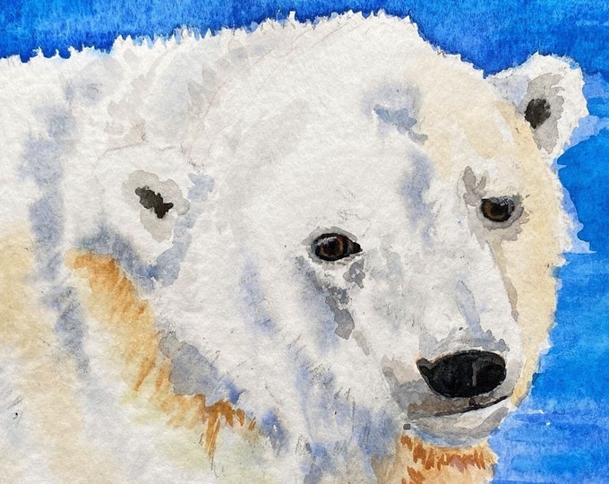 Polar Bear Art Print from Original Watercolor Painting of a White Polar Bear from the Denver Zoo
