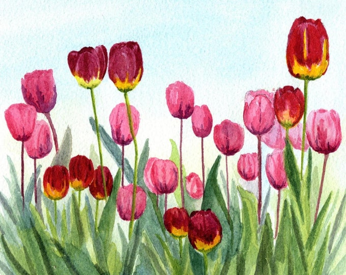 Tulip Art Print, Botanical Artwork, Painting of Pink and Red Tulips at Manito Park, Spokane, Washington